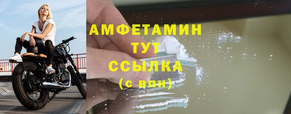 гашик Дмитровск