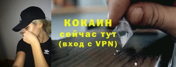гашик Дмитровск