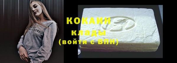 гашик Дмитровск