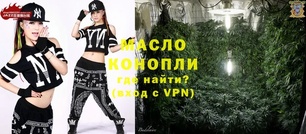 гашик Дмитровск