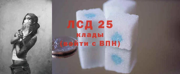 гашик Дмитровск