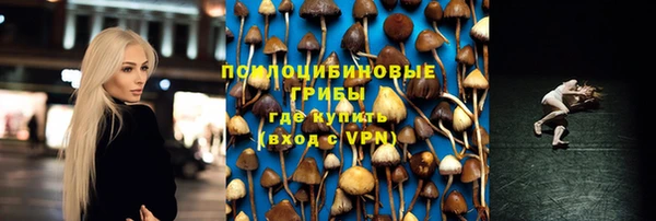 гашик Дмитровск
