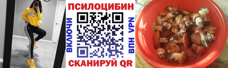 Купить  Нижний Новгород  Галлюциногенные грибы мухоморы 